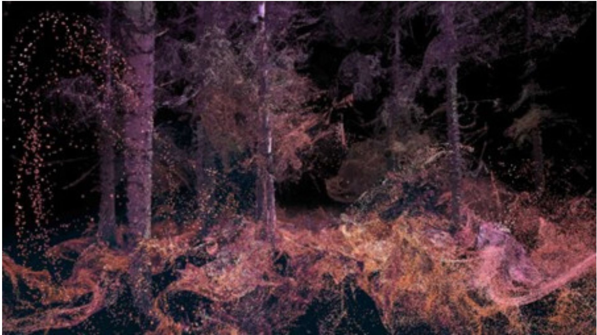 Immersive Futures & Conservation